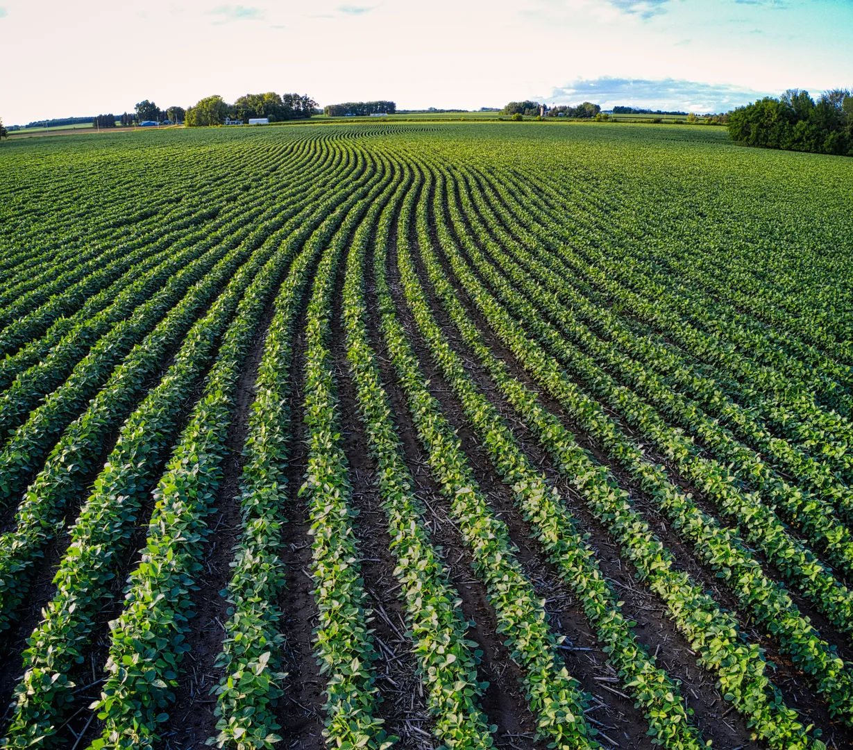 O Agro Enriquece e Piçarras Entra no Radar dos Grandes Investidores