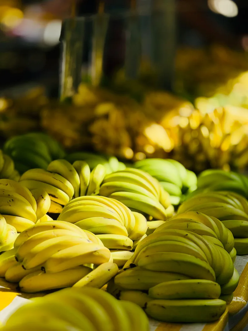 Banana de qualidade coloca Luís Alves entre os destaques do agronegócio nacional