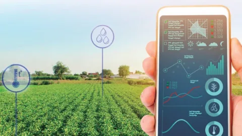 Agro brasileiro avança em maturidade digital