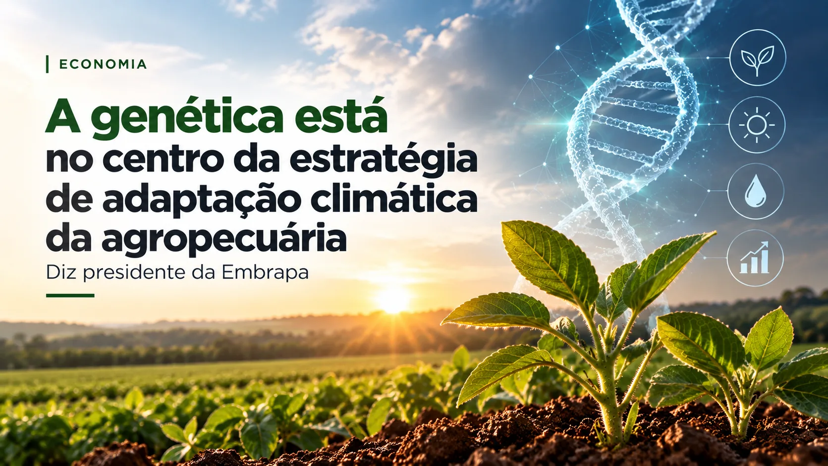 Genética impulsiona adaptação climática na agropecuária