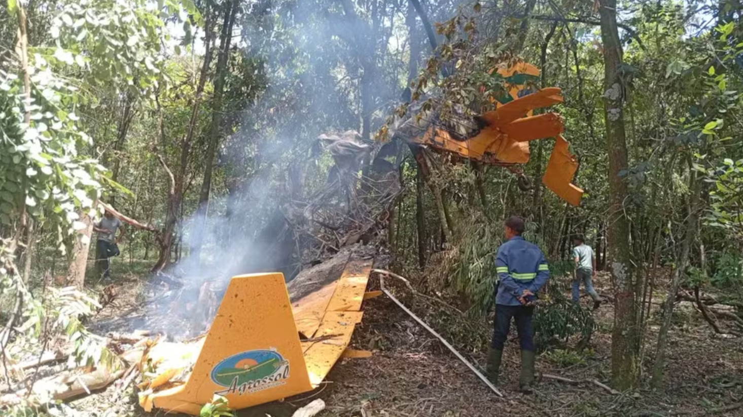 Avião cai em lavoura de cana-de-açúcar em SP; piloto sobrevive