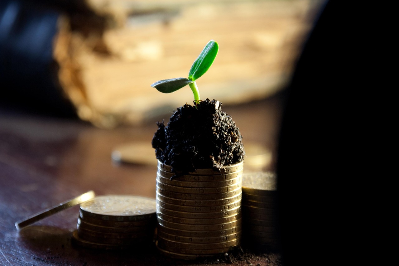 Allied (ALLD3) atualiza proventos após aumento de capital