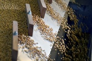 Fórum Econômico Mundial: Confronto econômico é maior risco global