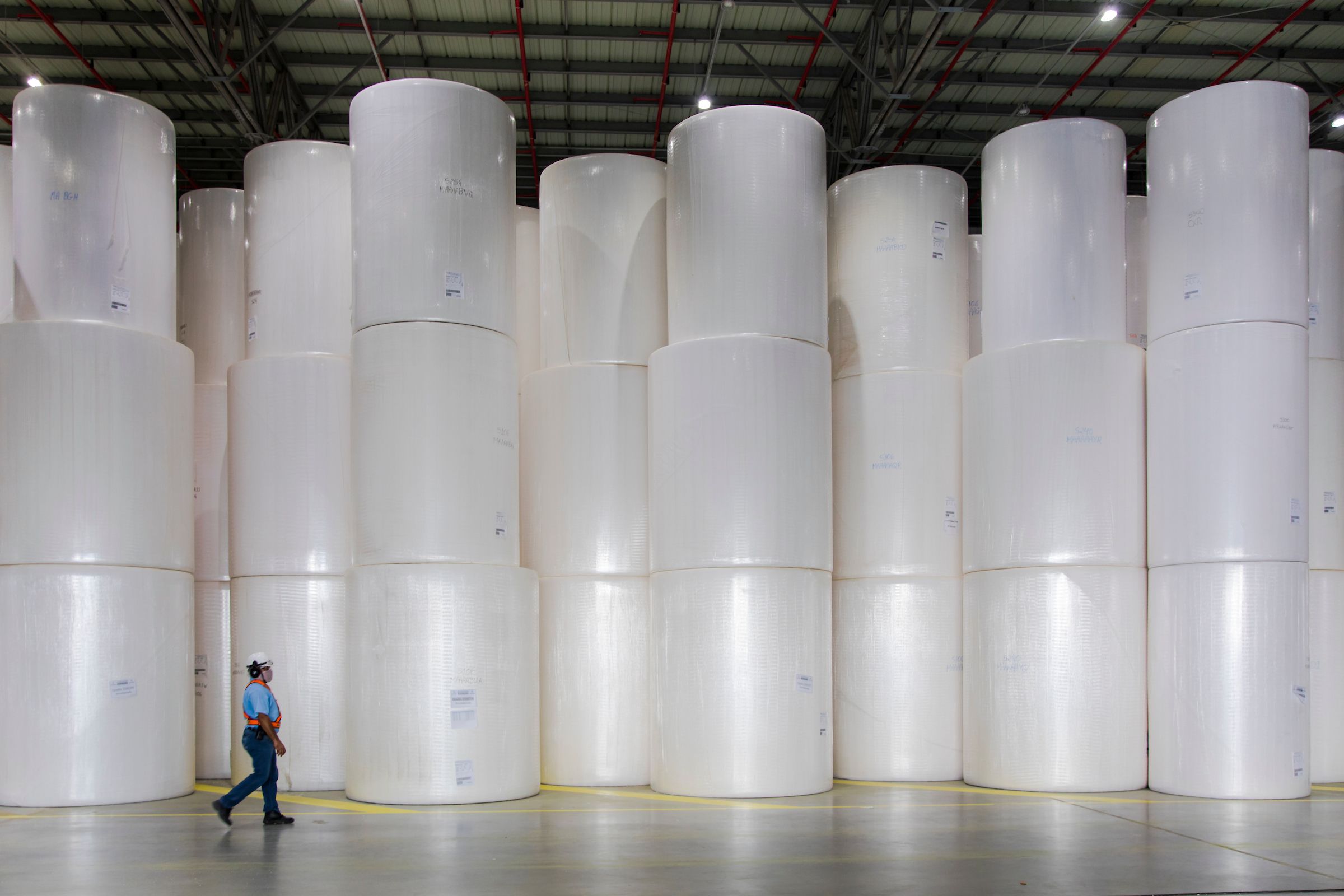 Suzano sobe 11% e Klabin avança 6% após divulgação de resultados do 4T25