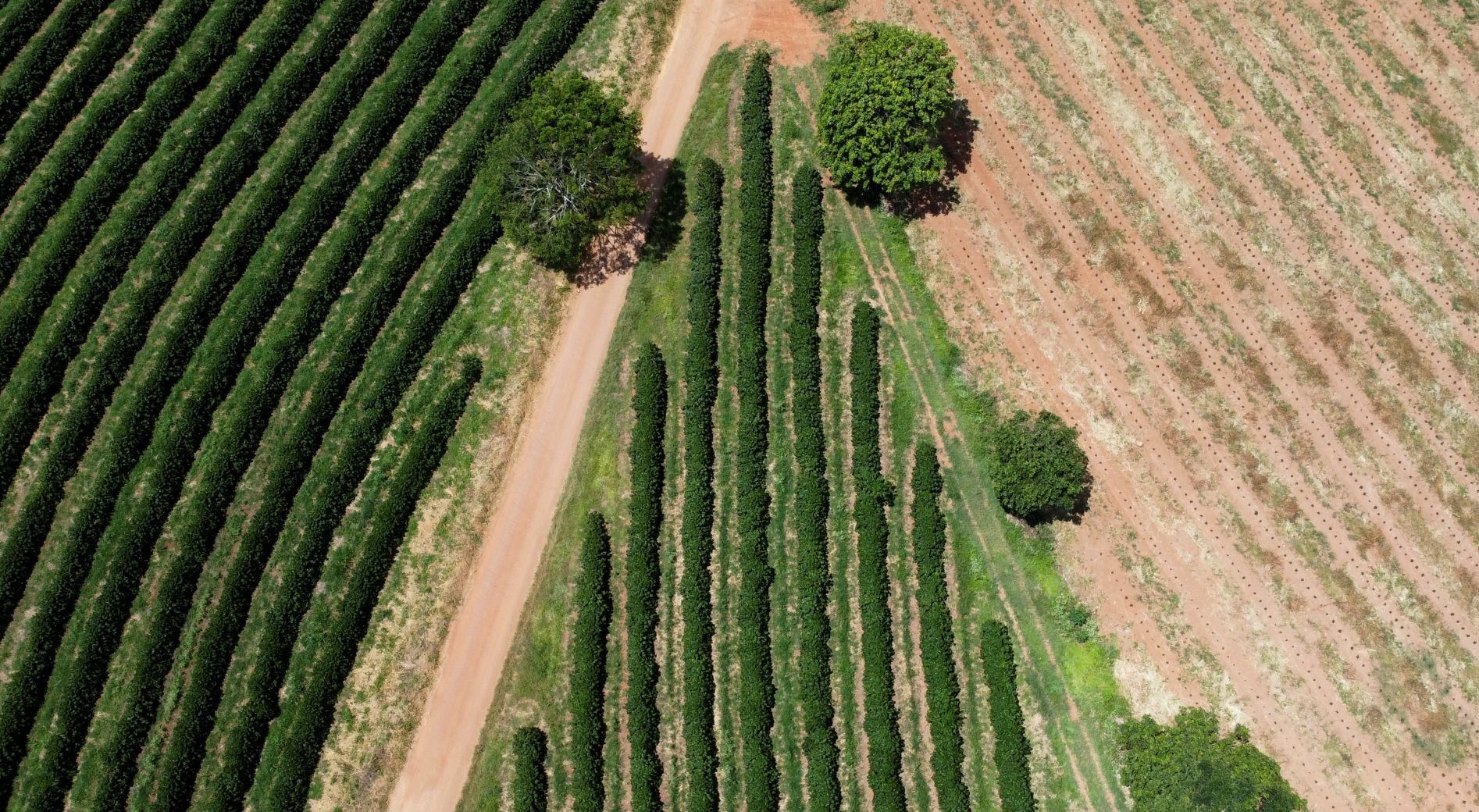 Desastres naturais causam prejuízos de R$ 28 bilhões no Brasil em 2025, aponta Aon