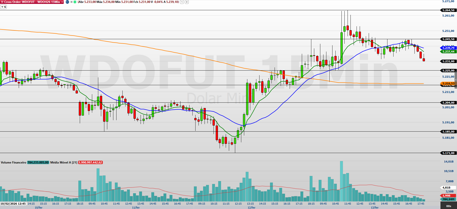 Minidólar (WDOH26): Veja os níveis de suporte e resistência para 18 de fevereiro