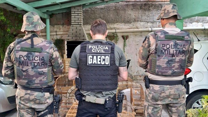Operação Aruana: Polícia Militar Ambiental atua contra tráfico de animais