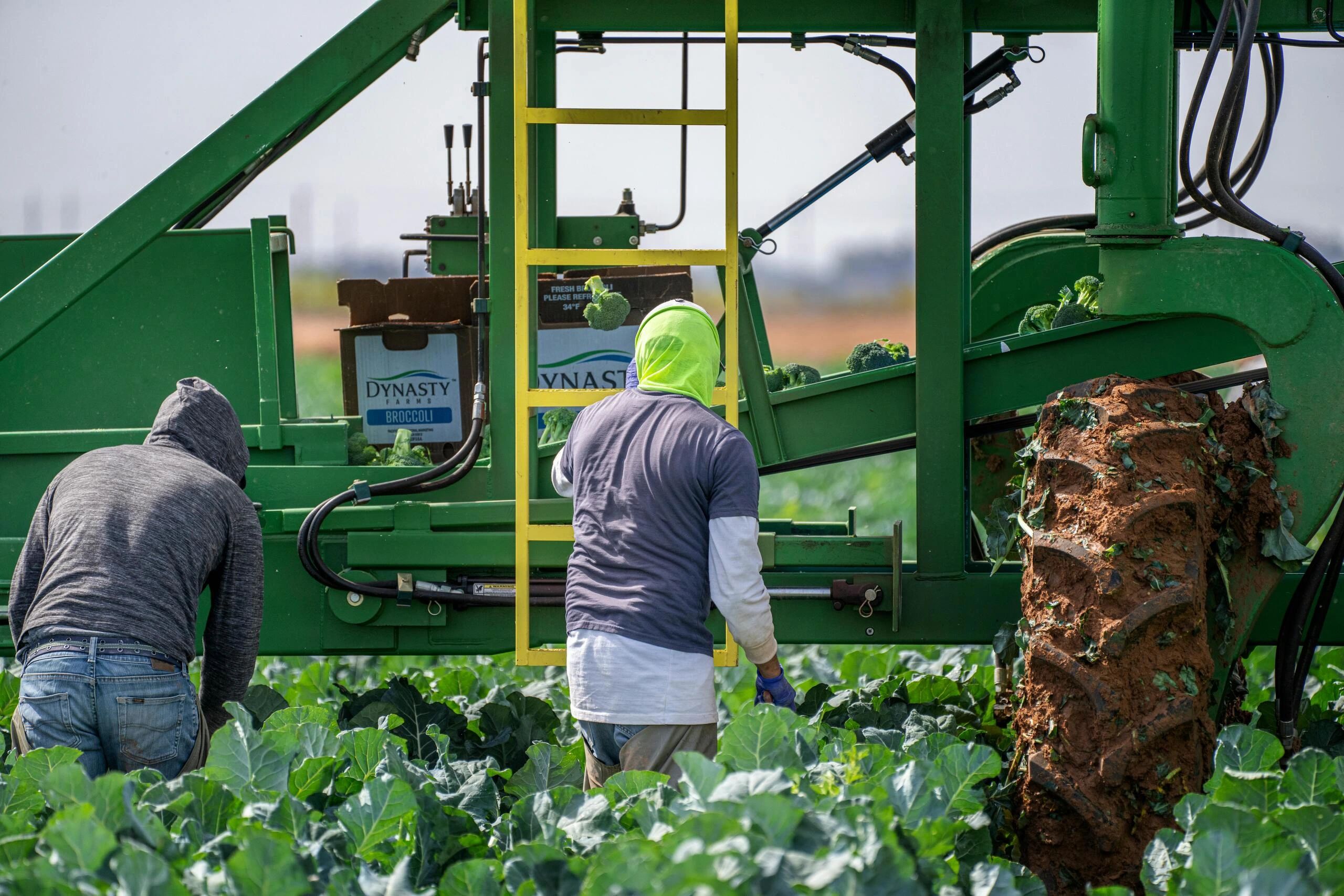 CNA apresenta 100 iniciativas legislativas para o setor agropecuário