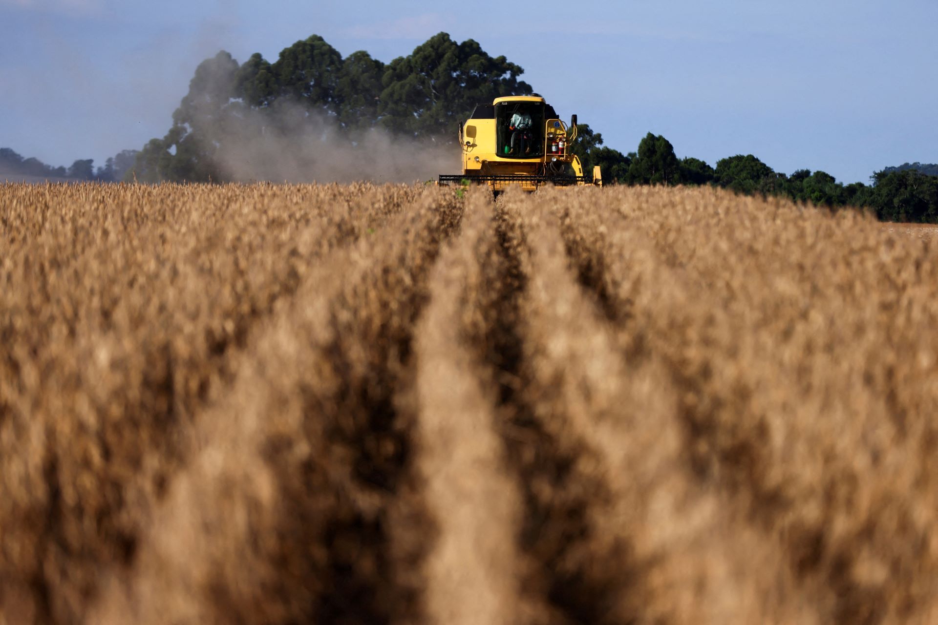 Fundos agro da XP tiveram valorização superior a 40% em 2025